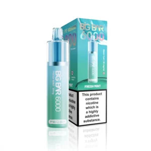 BIG BAR – FRESH MINT – 20MG